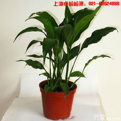 上海室內(nèi)空氣質(zhì)量檢測(cè)中心-上海CMA檢測(cè)報(bào)告