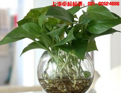 上海室內(nèi)空氣質(zhì)量檢測(cè)中心-上海CMA檢測(cè)報(bào)告