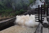 暴雨傾城，水控人冒雨排澇保暢通，守土盡責保供水安全！