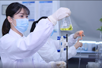 巾幗不讓須眉，她們獲省級巾幗文明崗榮譽